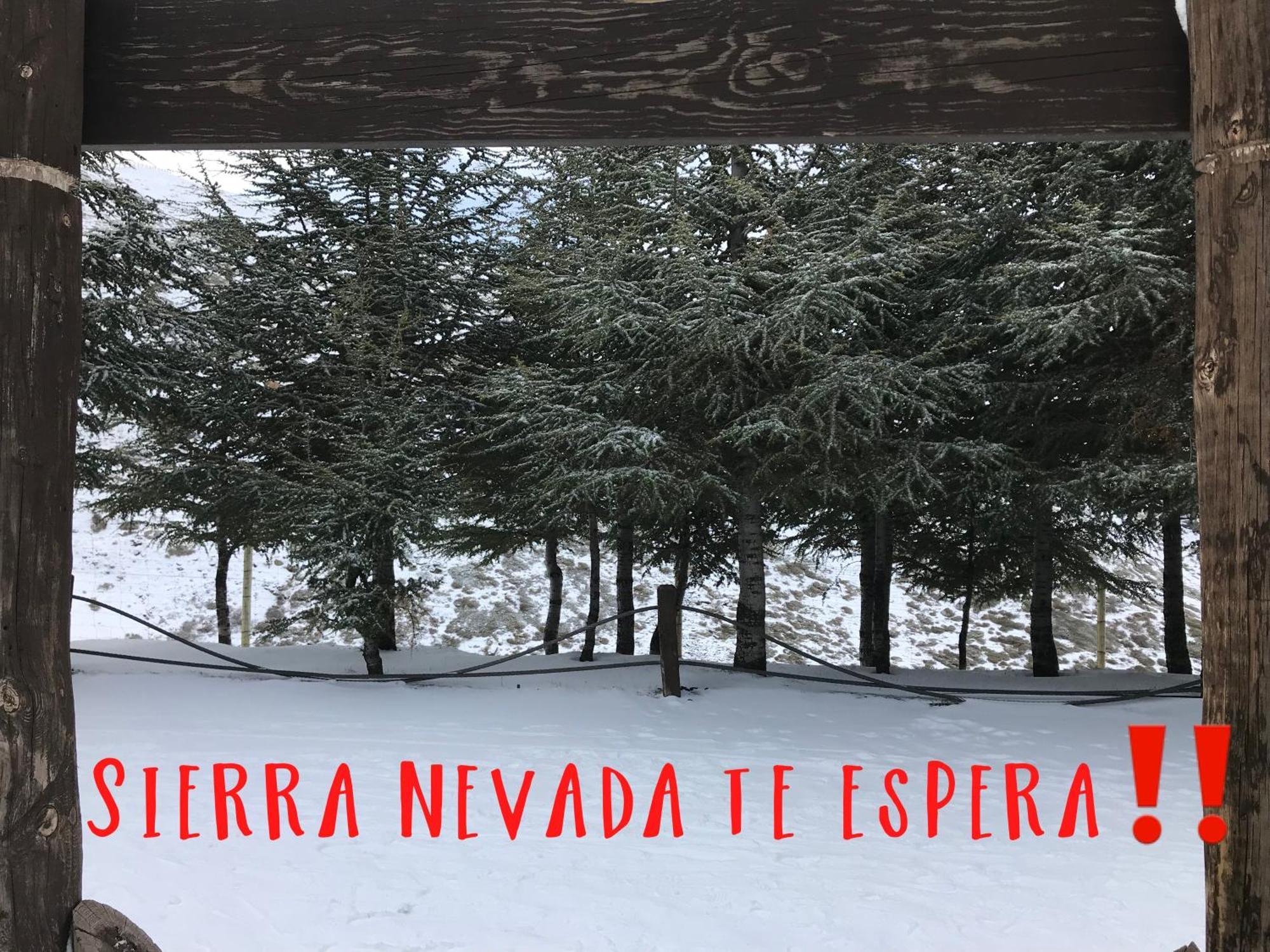 Inside Plaza Sierra Nevada Apartment Екстериор снимка