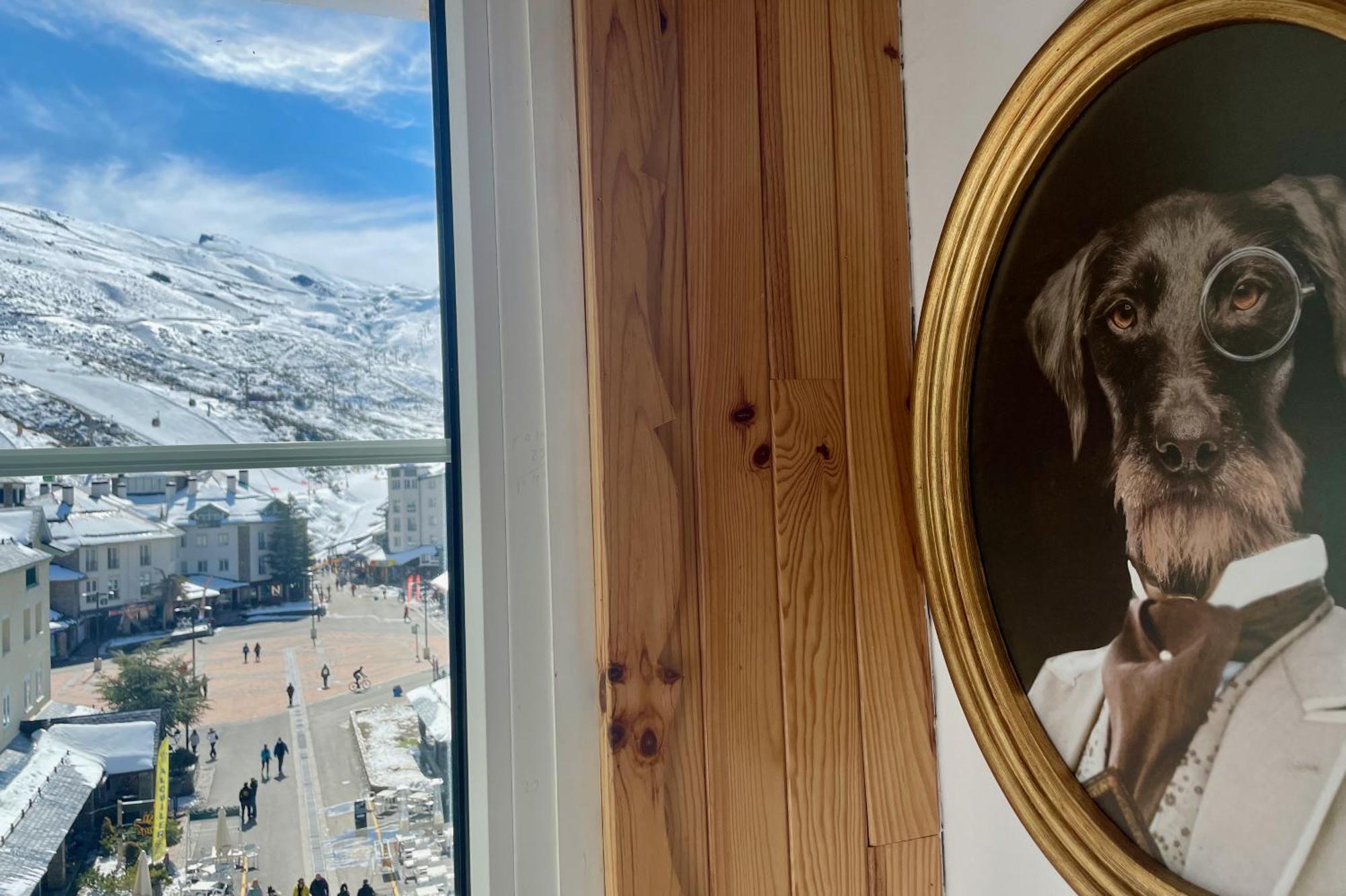 Inside Plaza Sierra Nevada Apartment Стая снимка